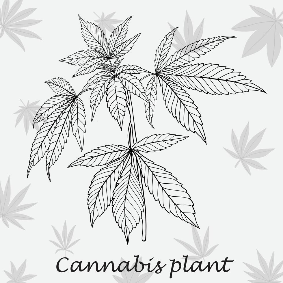 simplicidad planta de cannabis dibujo a mano alzada diseño plano. vector