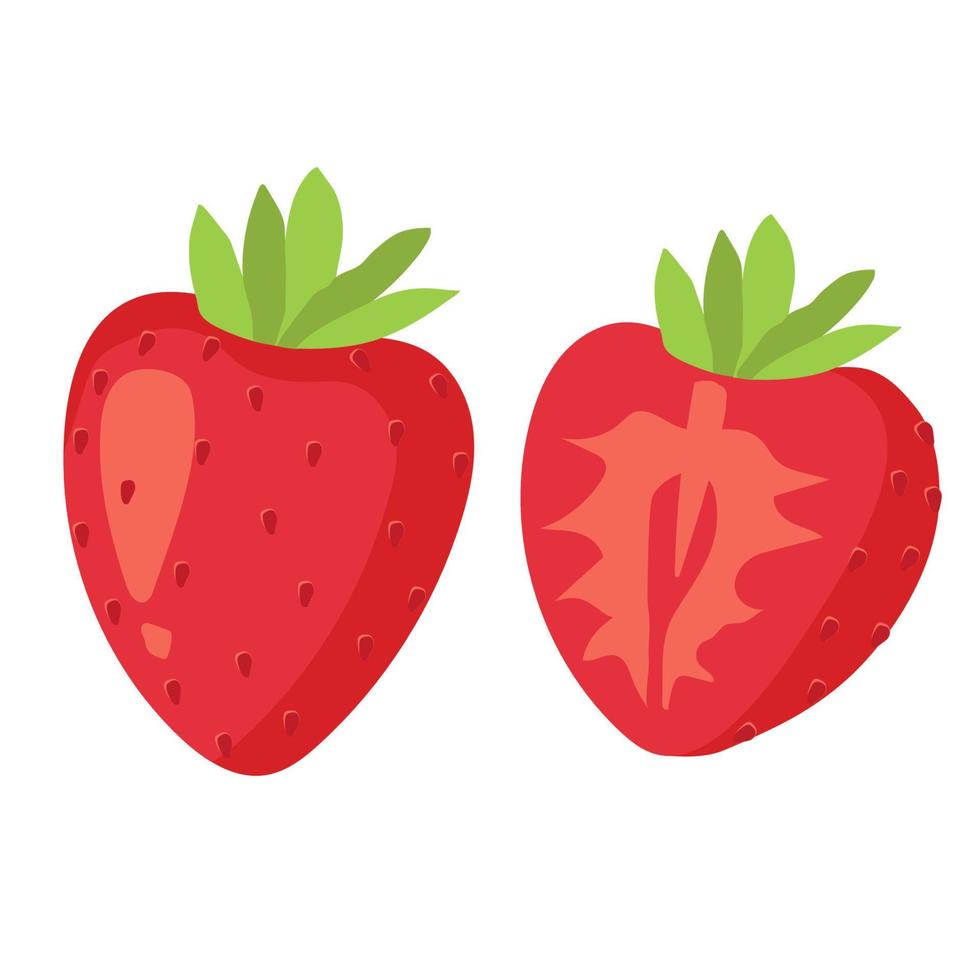 Stawberry red summer fruit, white background. Vector graphic illustration. Vegetarian cafe print, poster, card. Natural, organic dessert sweet, fresh berry,