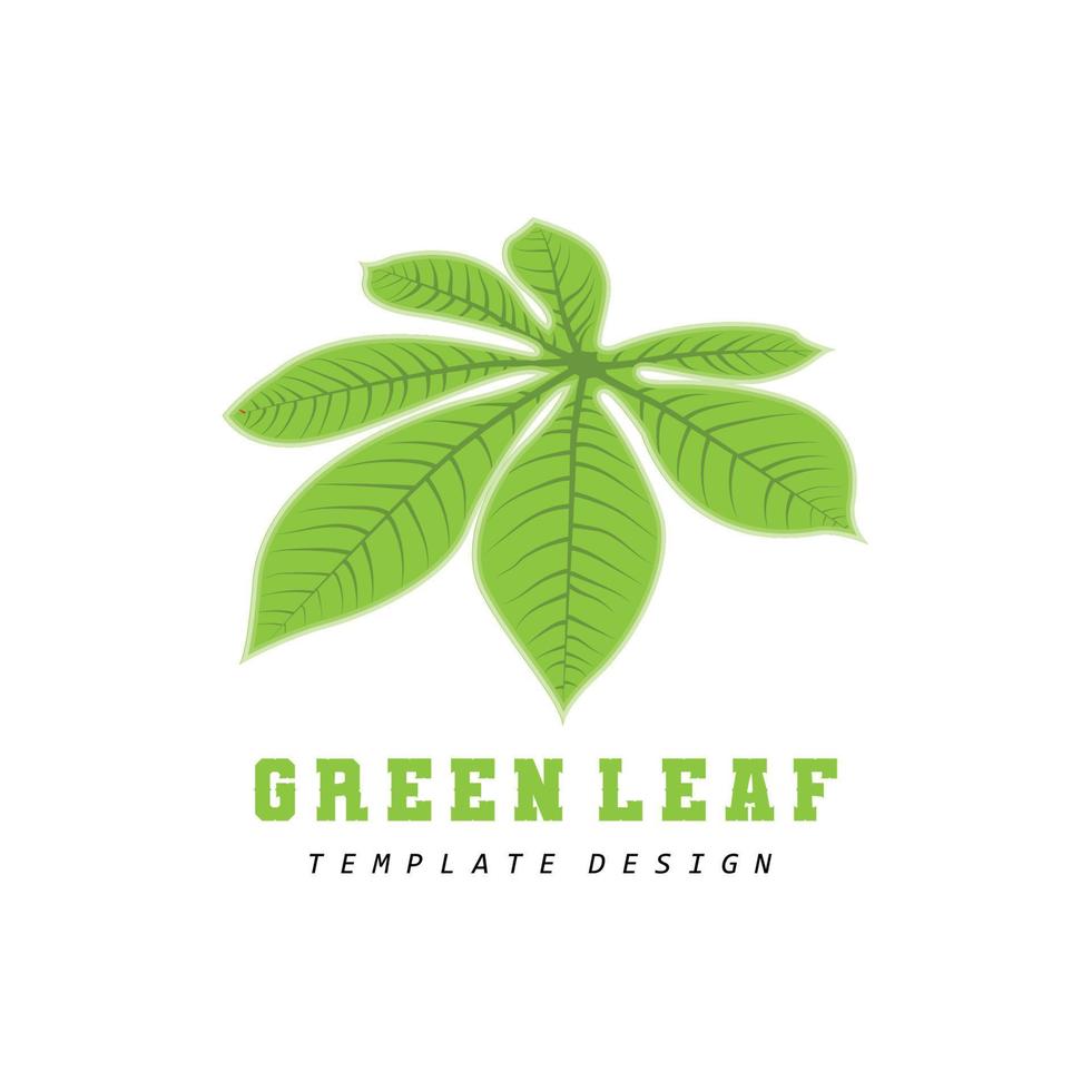 Leaf Logo Green Plant Design Leaves Of Trees Product Brand Template Illustration vector
