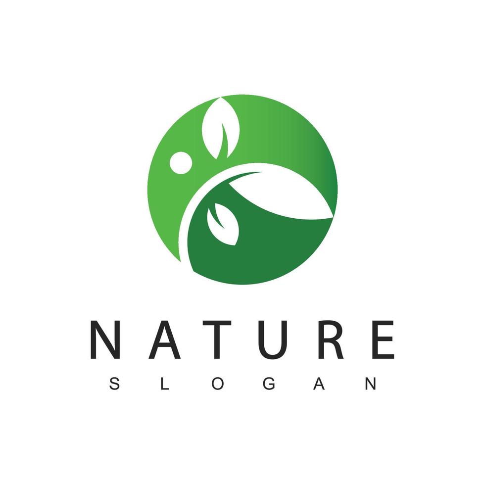 plantilla de diseño de logotipo de naturaleza con símbolo de hoja de círculo vector