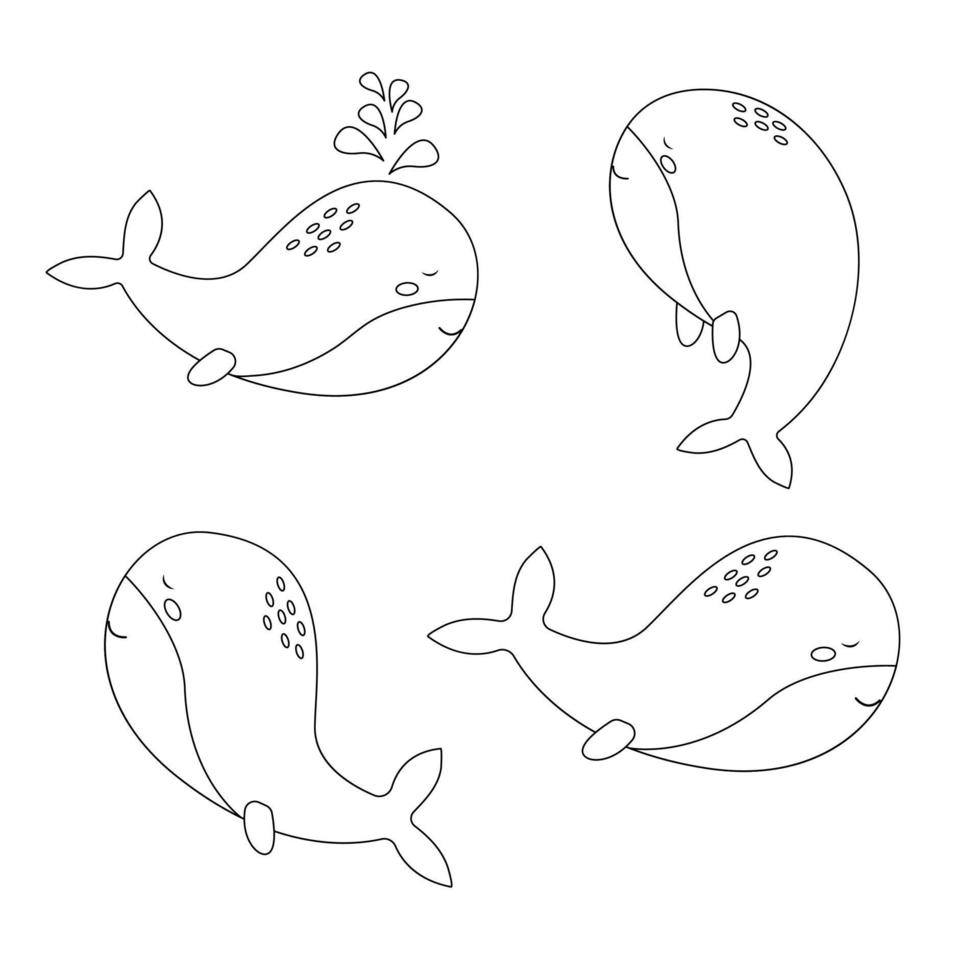 Whale in outline style. Vector illustration