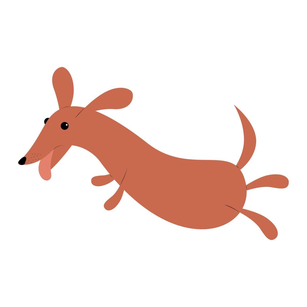 funny jumping dachshund dog vector