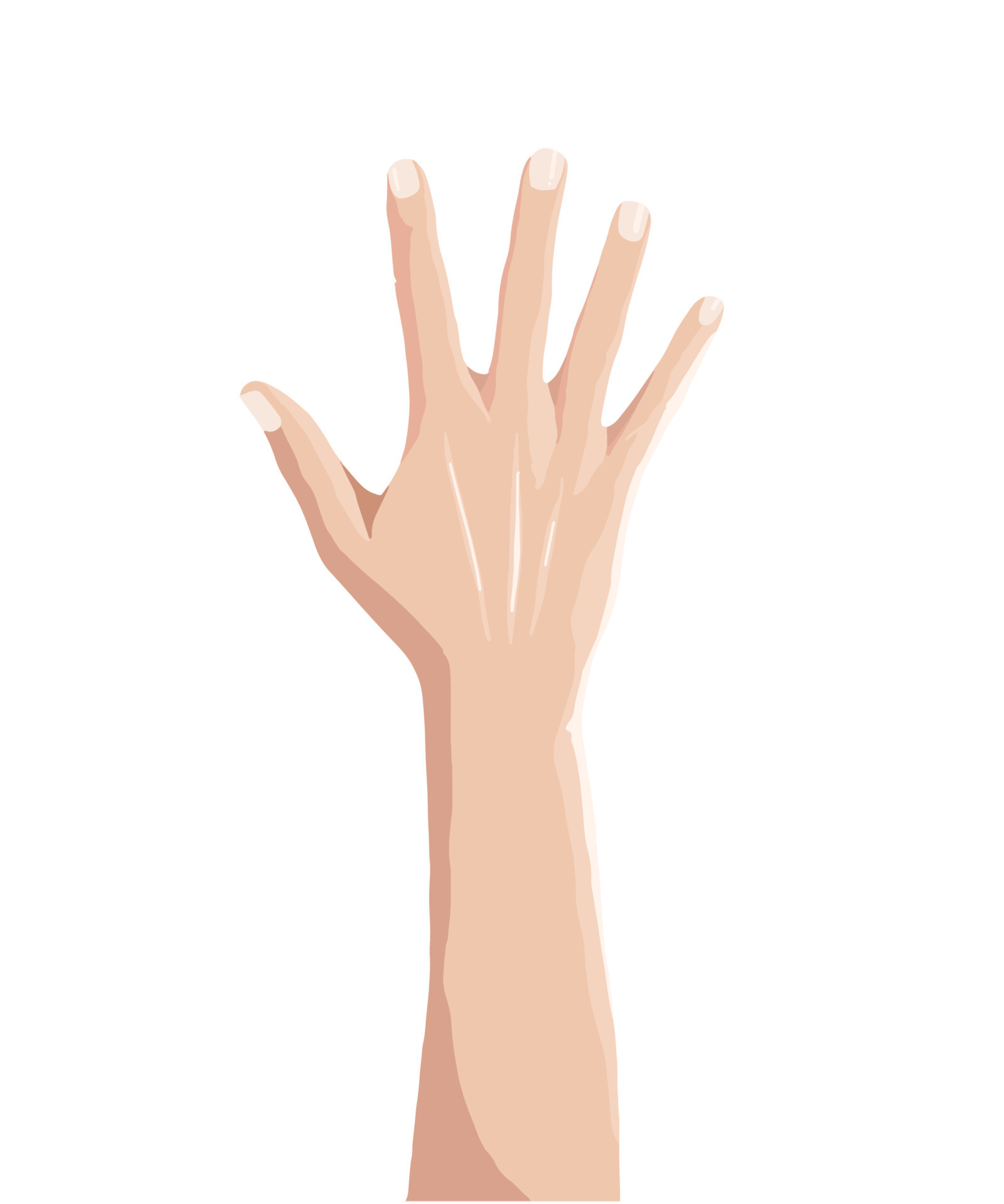 high five hand 13320179 Vector Art at Vecteezy