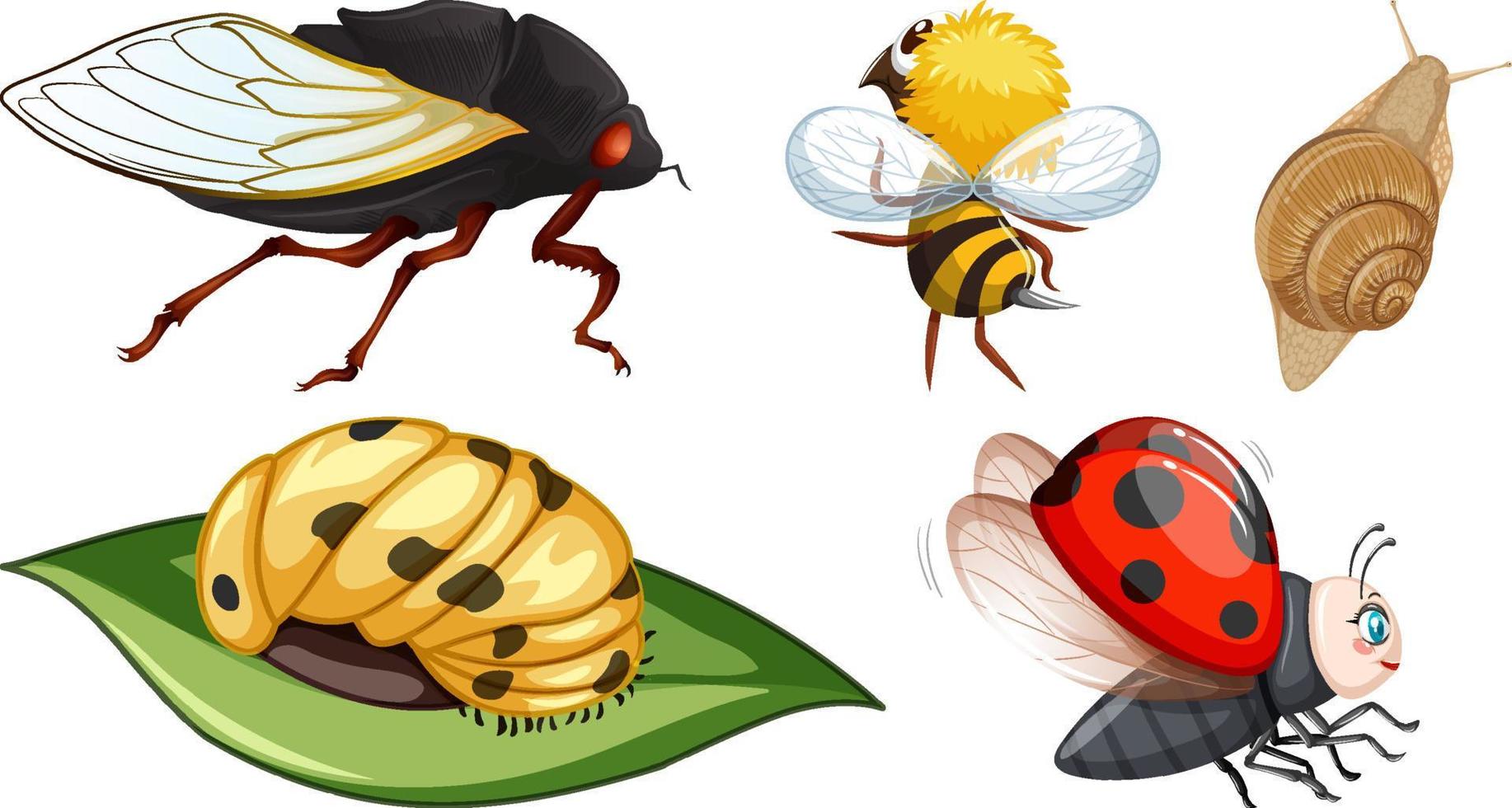 Set of different kinds of insects vector