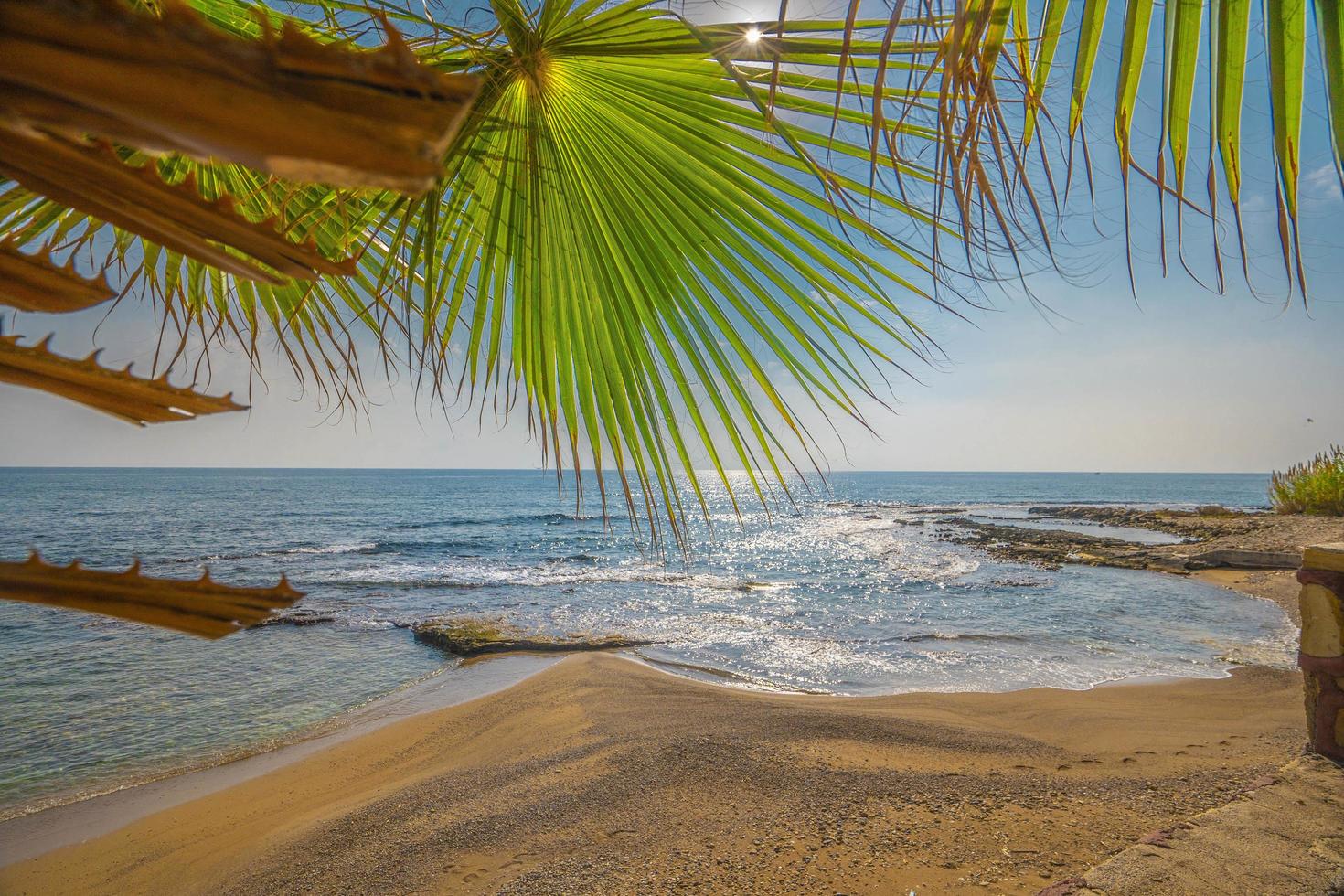 unique sea and sand view. Palm tree. beautiful beach peaceful view photo