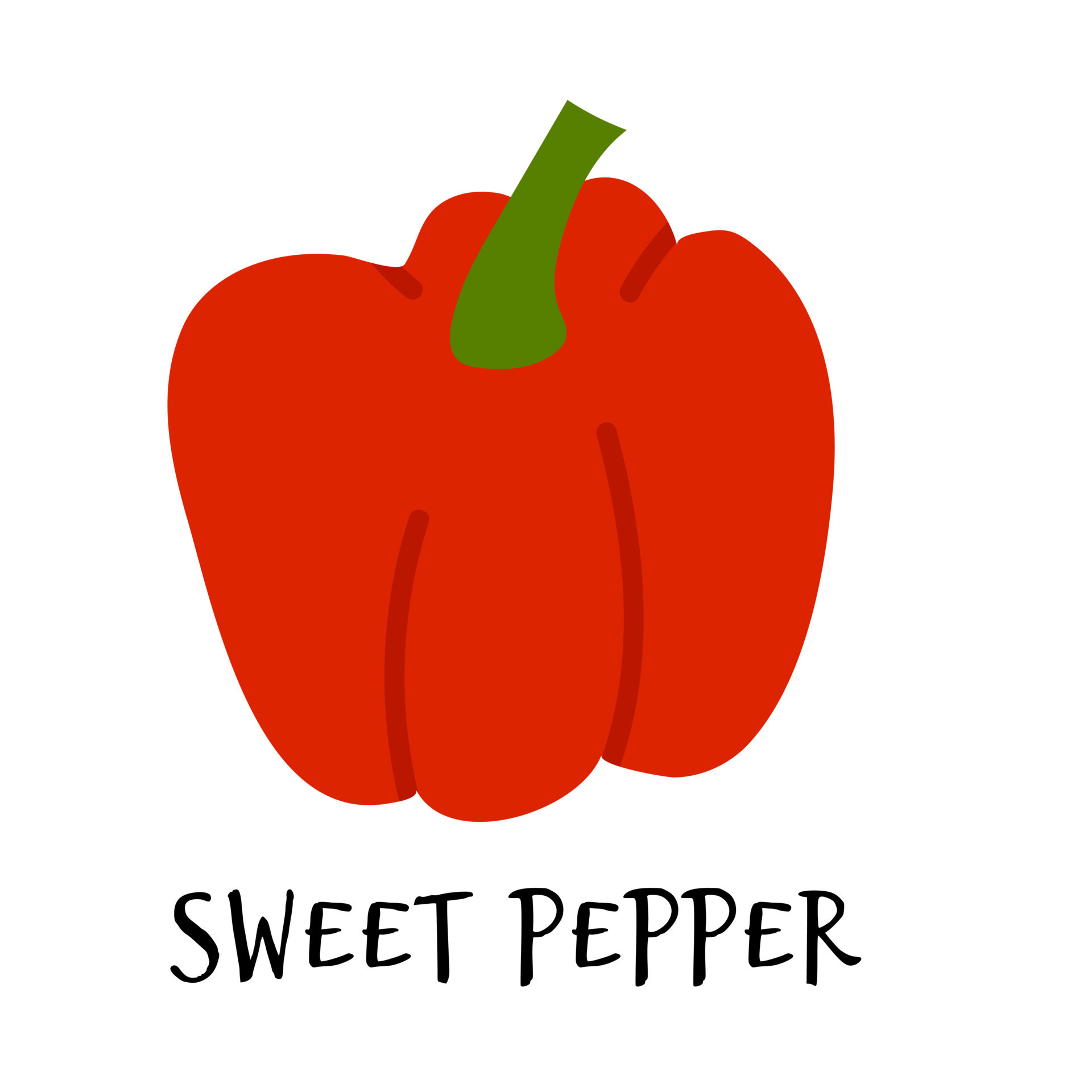 Vector illustration of sweet red pepper in hand drawn flat style