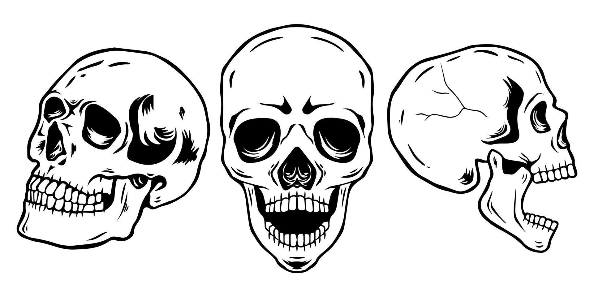 Set of three hand drawn skulls 13323655 Vector Art at Vecteezy