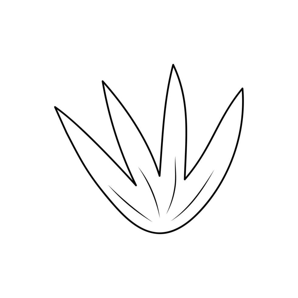 Hand drawn plant in line art doodle style. Botanical decorative element. vector