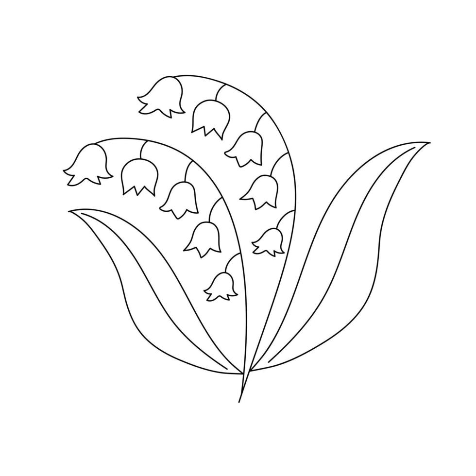 Hand drawn lily of the valley in line art doodle style. Botanical decorative element. vector