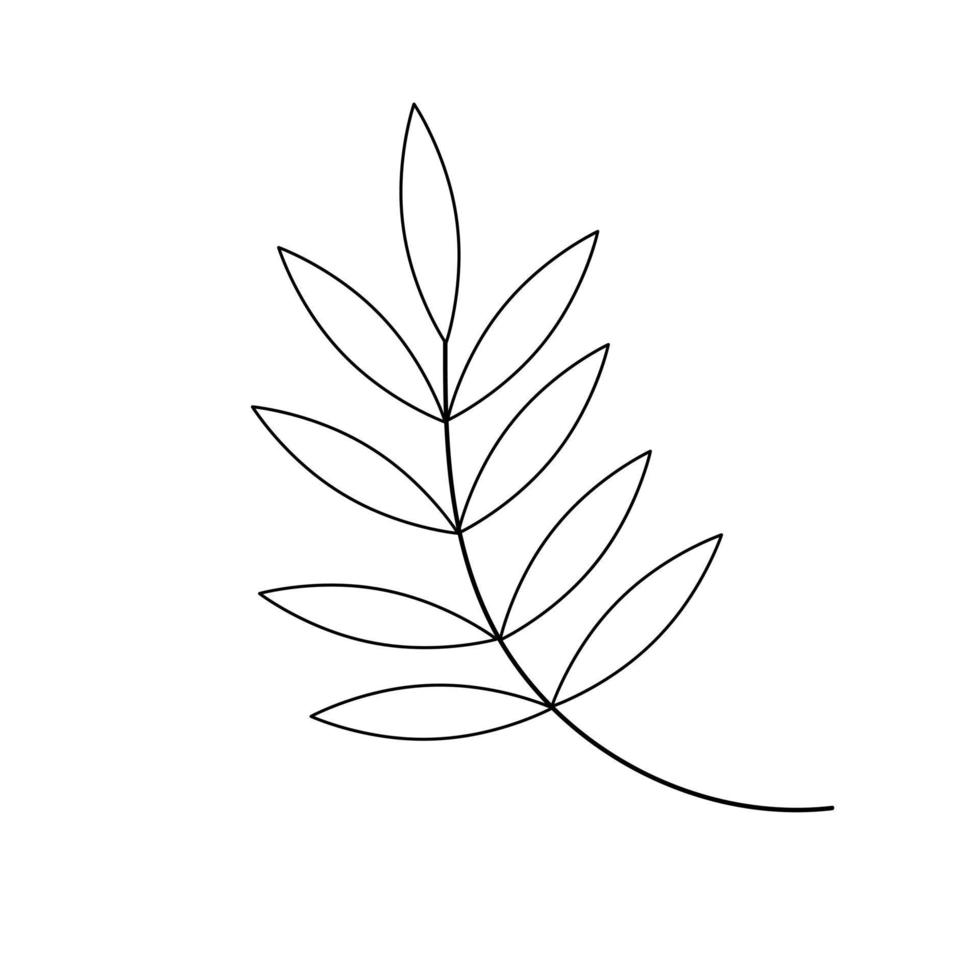 Hand drawn twig in line art doodle style. Botanical decorative element. vector