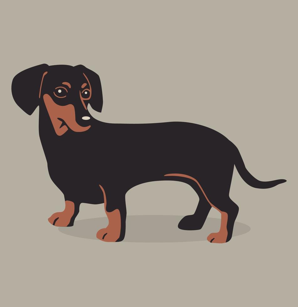 Card with dachshund vector