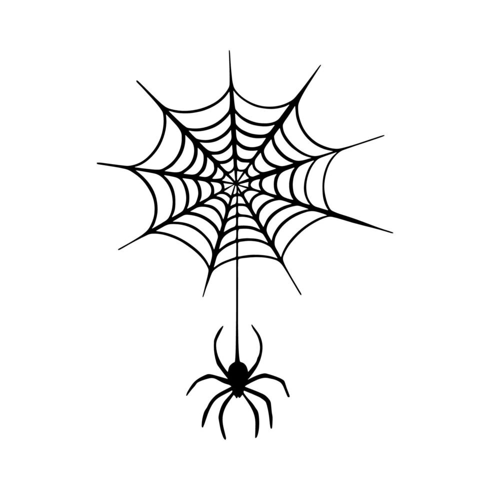 la araña negra desciende en la web. telaraña aterradora del símbolo de Halloween. vector de fondo espeluznante aislado para la fiesta de octubre y las invitaciones. aislado en la imagen vectorial blanca