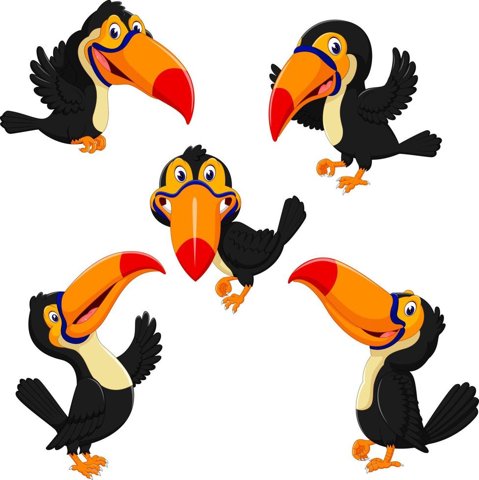 the beautiful collection of orange beak toucan with the different posing vector