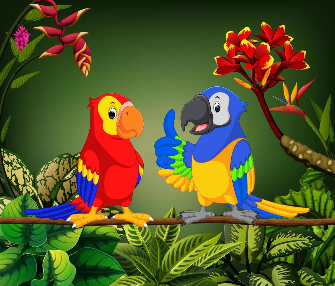 the beautiful parrots are talking on the stalk vector