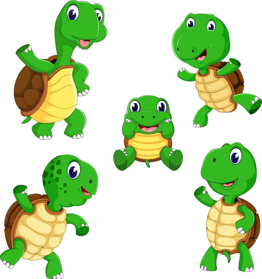 the collection of the tortoise with different posing and size vector