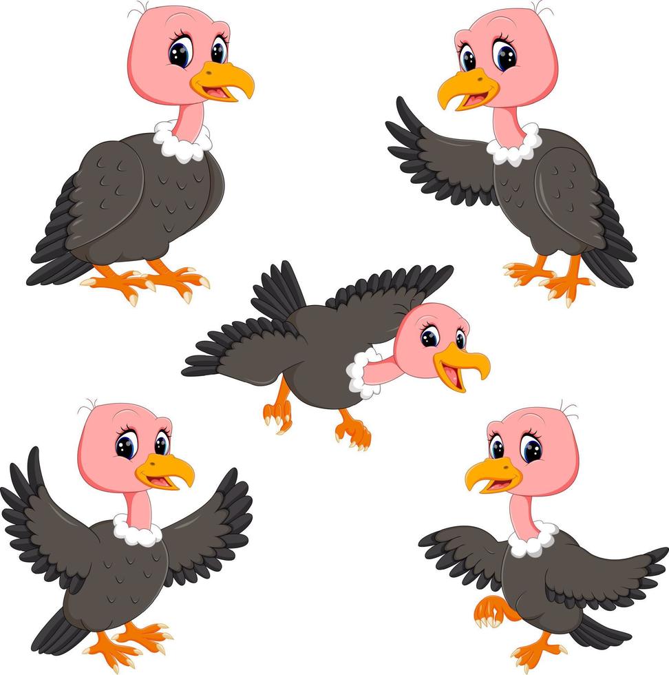 the collection of the cute baby vulture in the different posing vector
