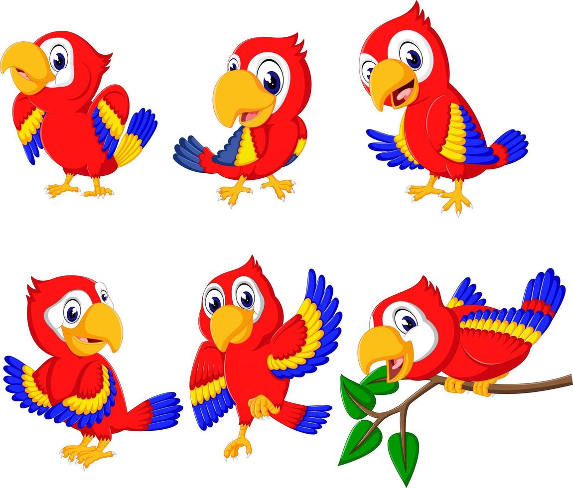 the collection of beautiful red parrots with the different posing vector