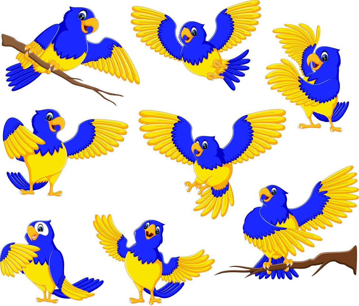 the dashing parrots with the gold accent vector