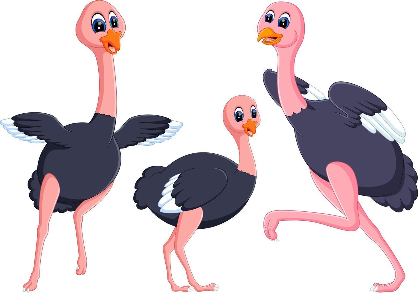 la colección del avestruz negro con el pie largo vector