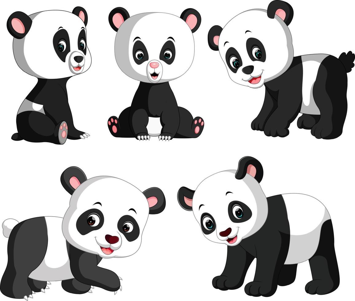 the collection of the cute panda with different posing vector
