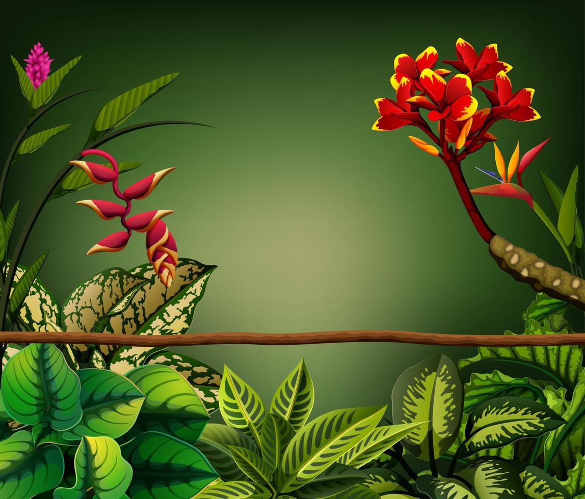 A green wallpaper with the leaves around it and branch vector