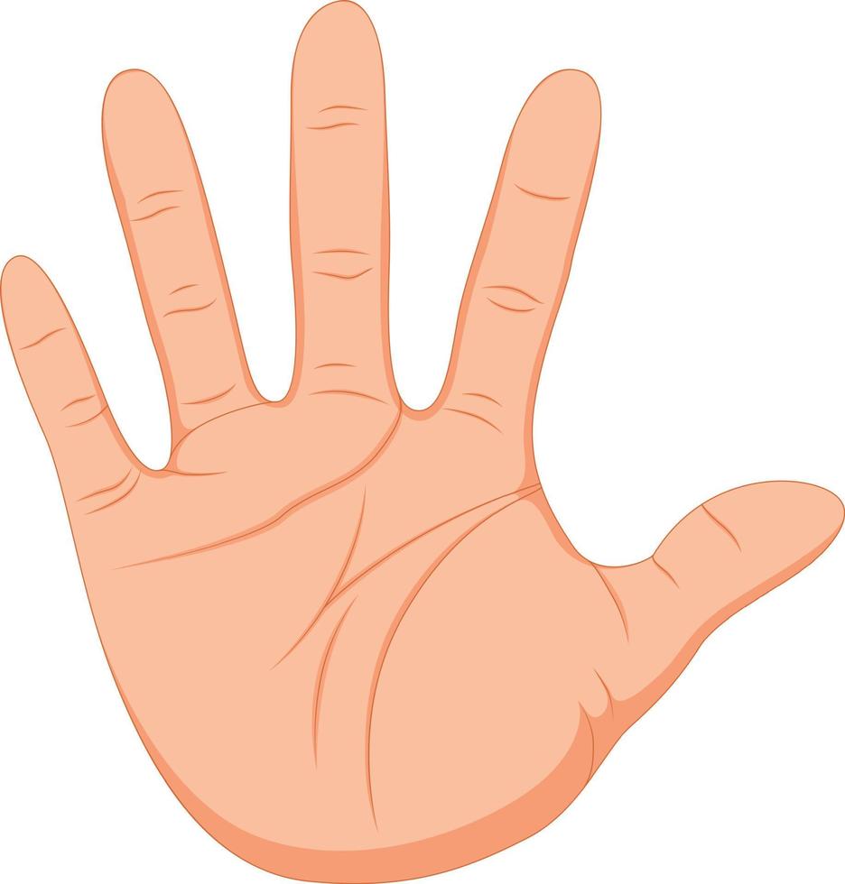 hand gesture with smooth skin vector