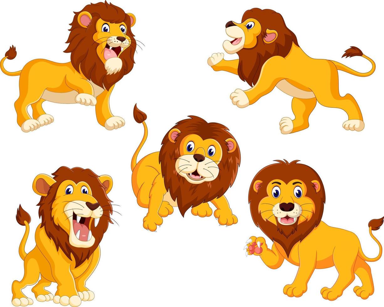 the collection of the lions with different posing vector