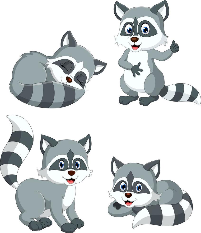 la colección del mapache gris con diferentes poses vector