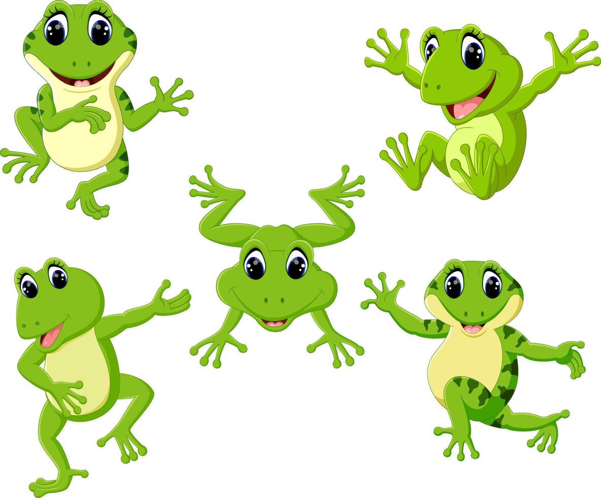 la colección de la hermosa rana verde en las diferentes poses vector