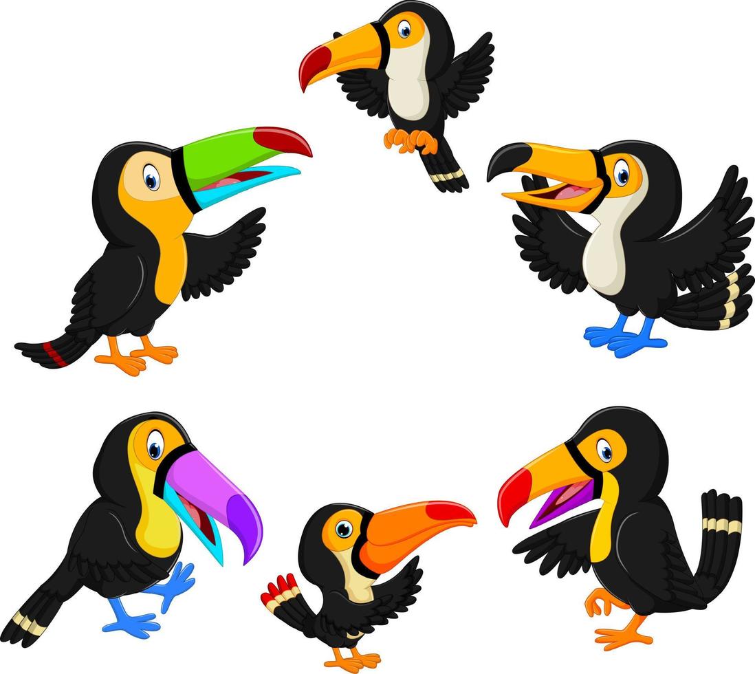 the collection of black toucan with the different posing vector