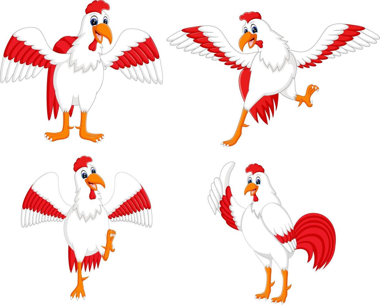 la colección de la polla con las diferentes poses vector