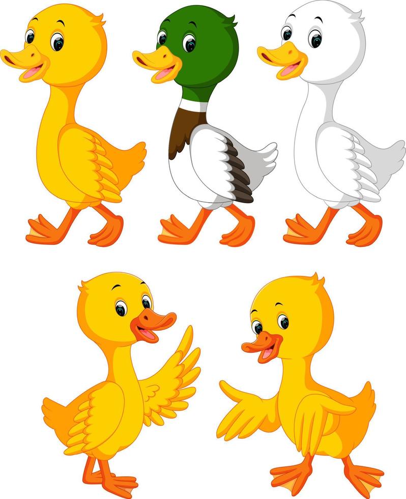 the collection of the cute ducks in the different color vector