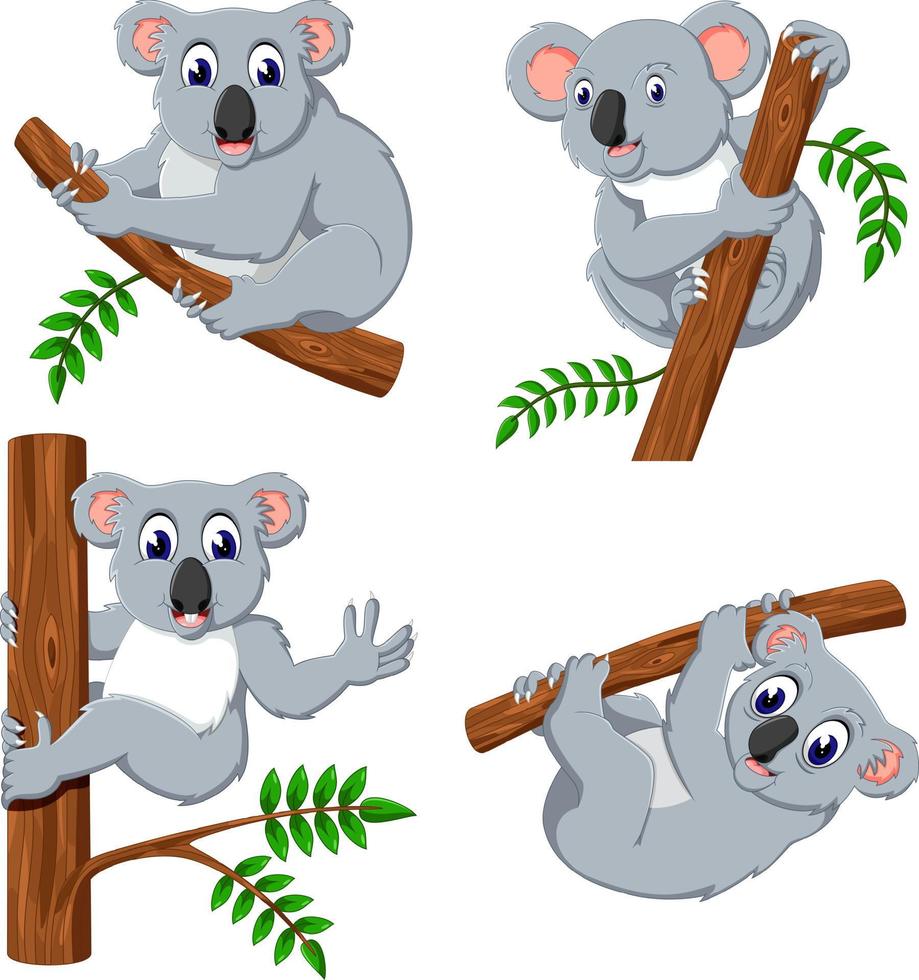 the collection of the koala hanging in the tree vector