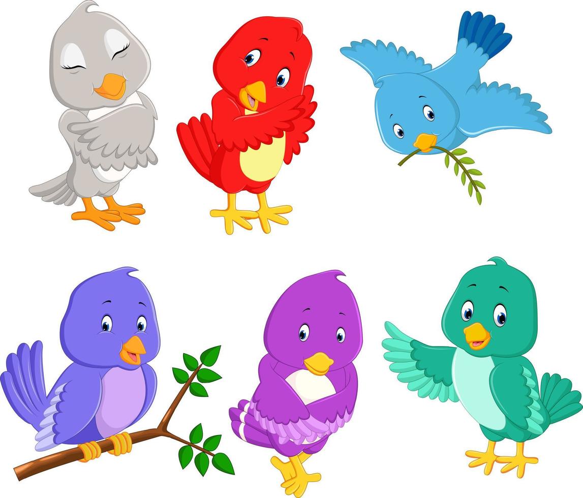 la colección pájaros bonitos con diferentes colores y poses vector