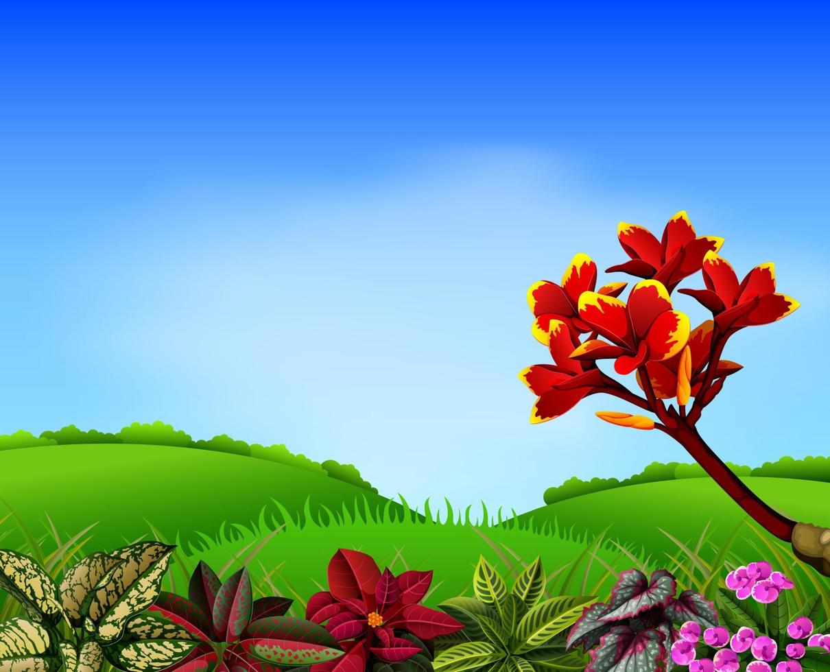 a fresh view with mountain and frangipani flower accent vector