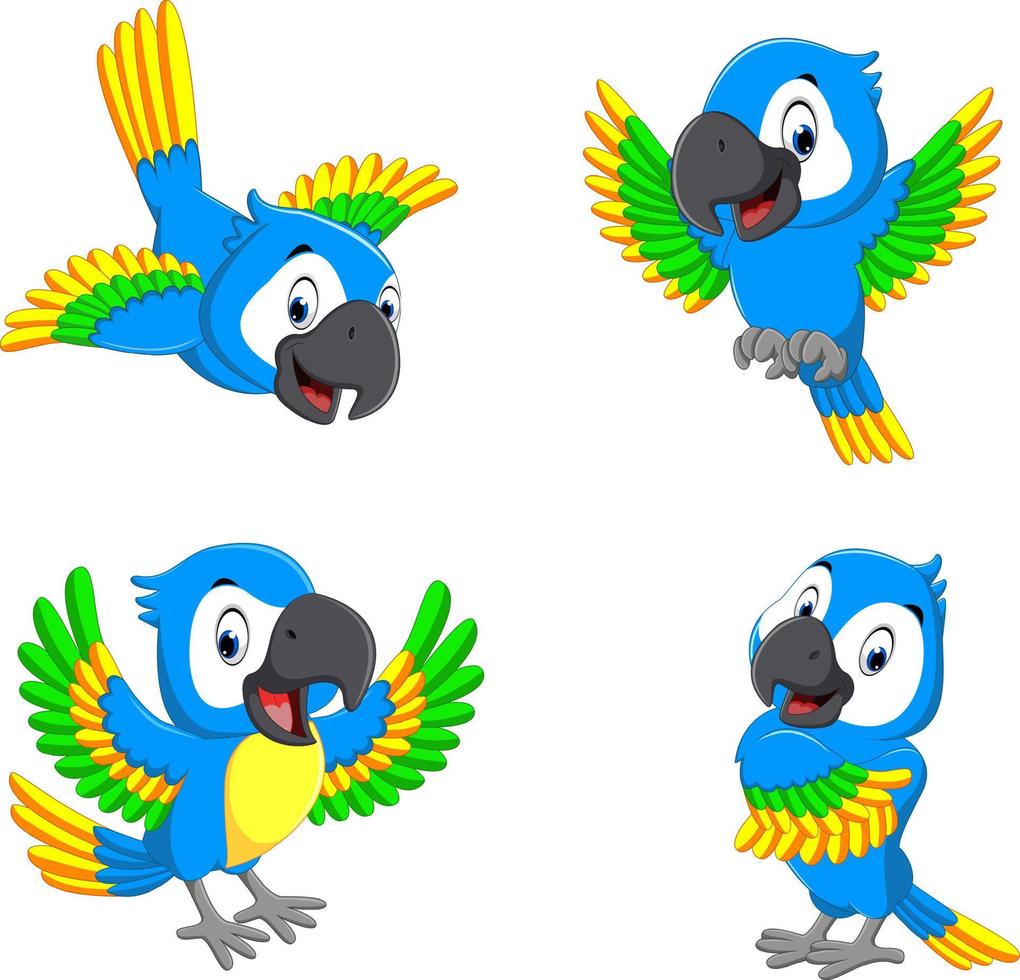 the collection of the blue parrots with happy faces vector