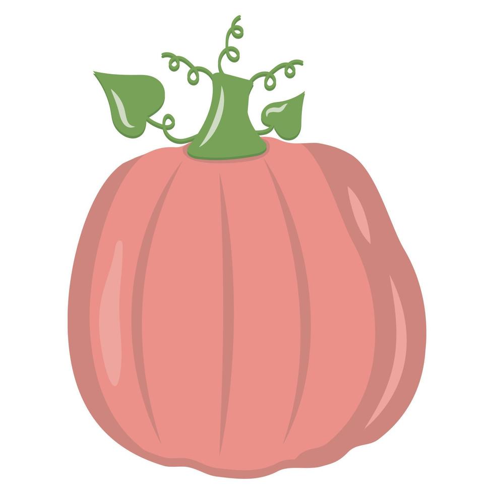 calabaza vegetal de otoño, icono de ilustración aislada de vector de color