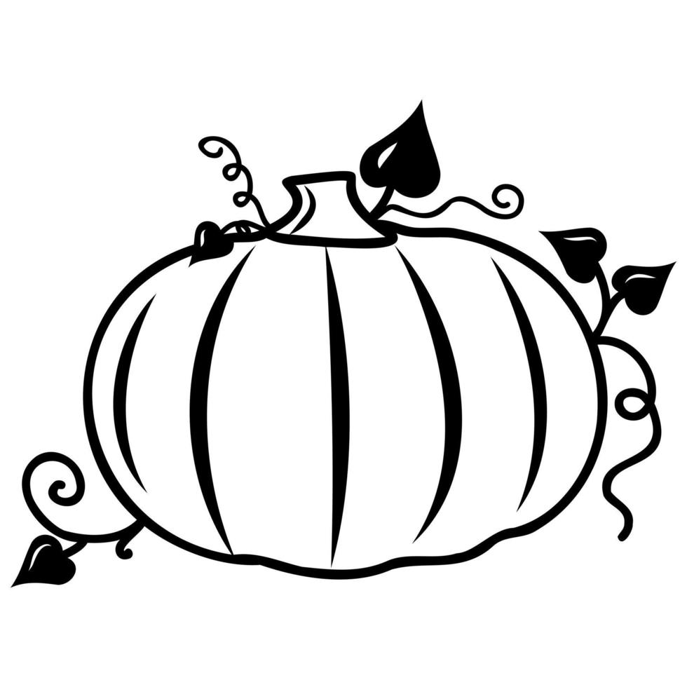 Autumn vegetable pumpkin, black outline, vector isolated illustration in doodle style