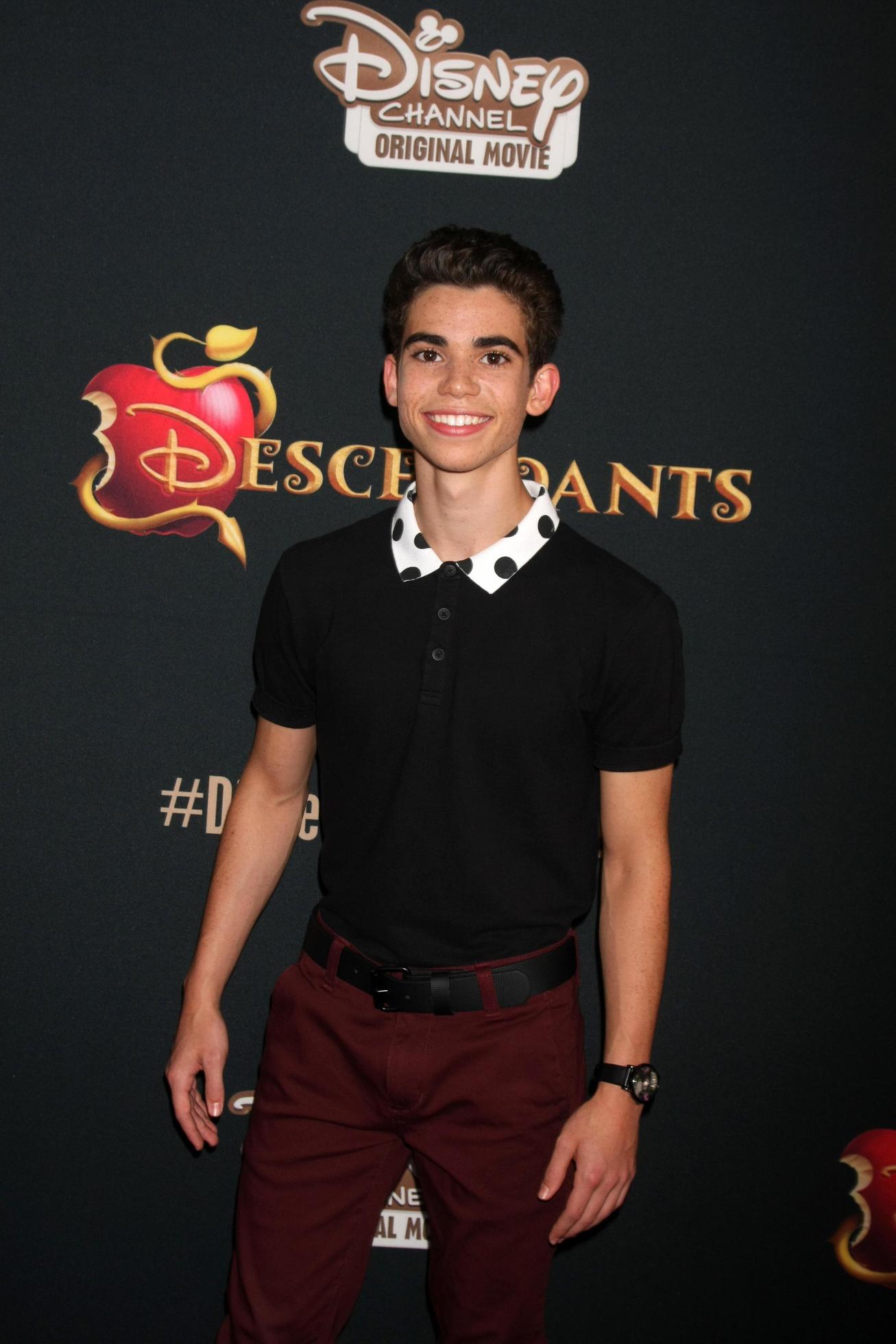 LOS ANGELES, JUL 24 - Cameron Boyce at the Descendants Premiere ...