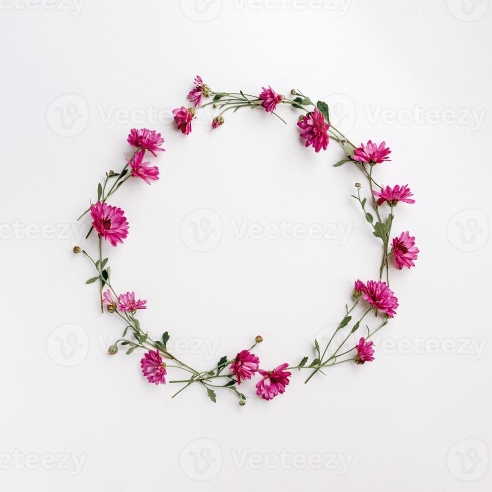 Flower wreath of pink chrysanthemums on white background, flat lay, top view, copy space photo