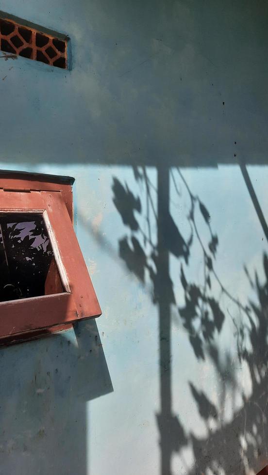 Brown window on blue wall with shadow of leaves 01 photo