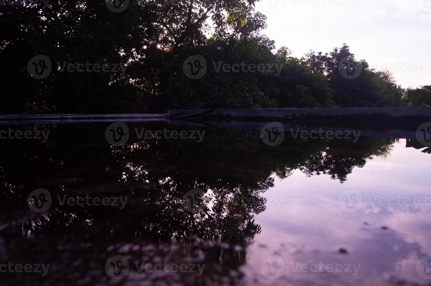 view of the trees from the top of the house with the reflection of the water photo