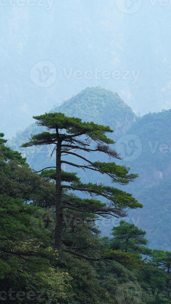 The beautiful mountains landscapes with the green forest and the erupted rock cliff as background in the countryside of the China photo