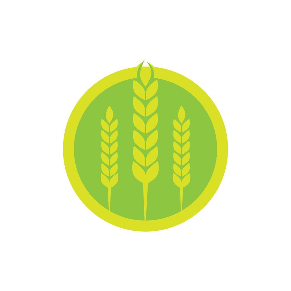 Wheat agriculture and farming vector logo design