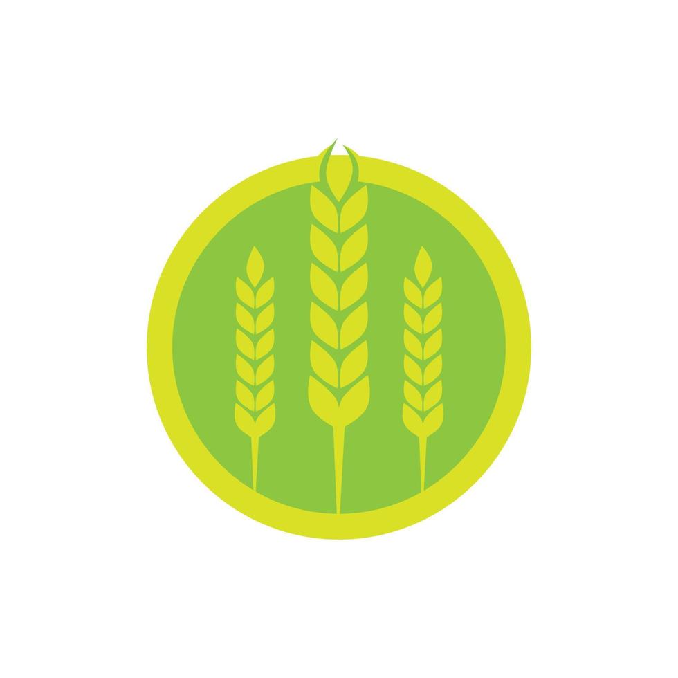 Wheat agriculture and farming vector logo design