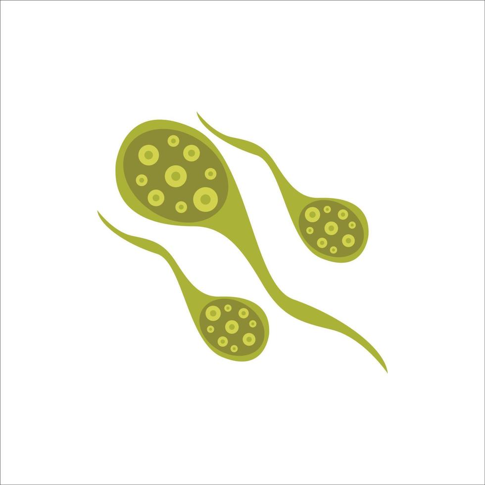 Virus Bacteria vector illustration icon