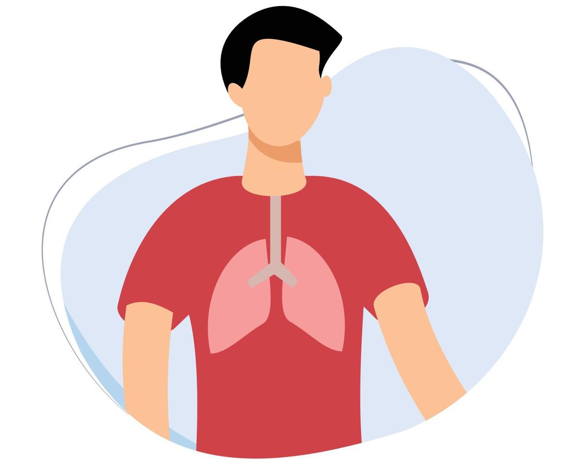 picture of a healthy man and lungs. flat design vector