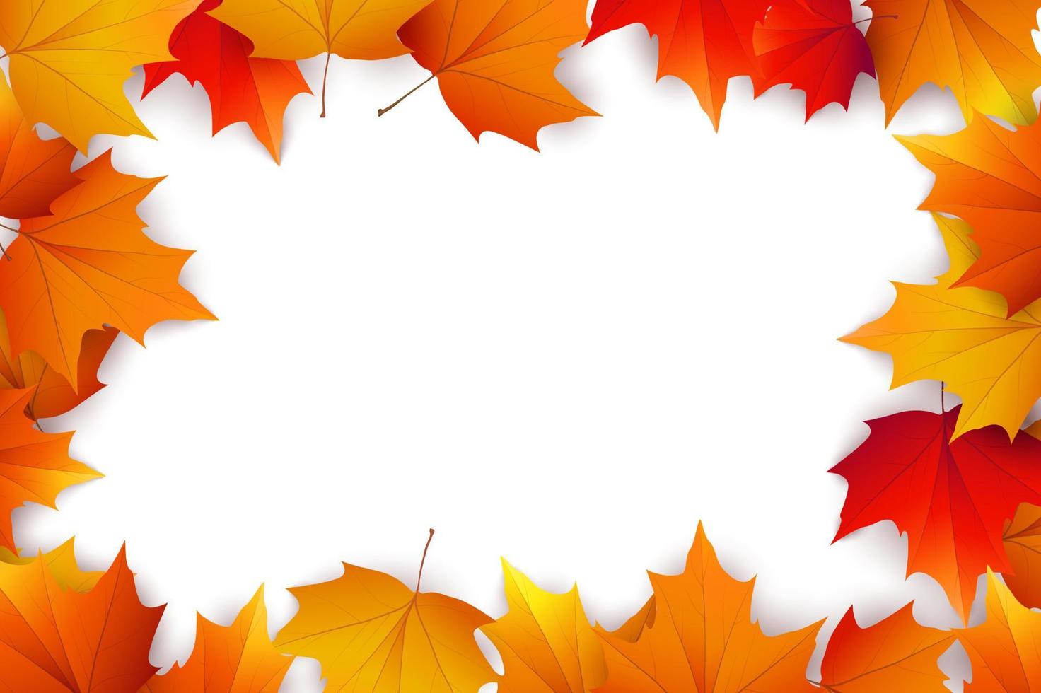 Autumn background with golden maple and oak leaves. Vector paper illustration