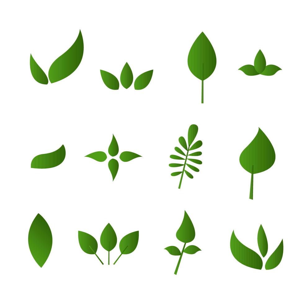 Leaves Vector Illustration