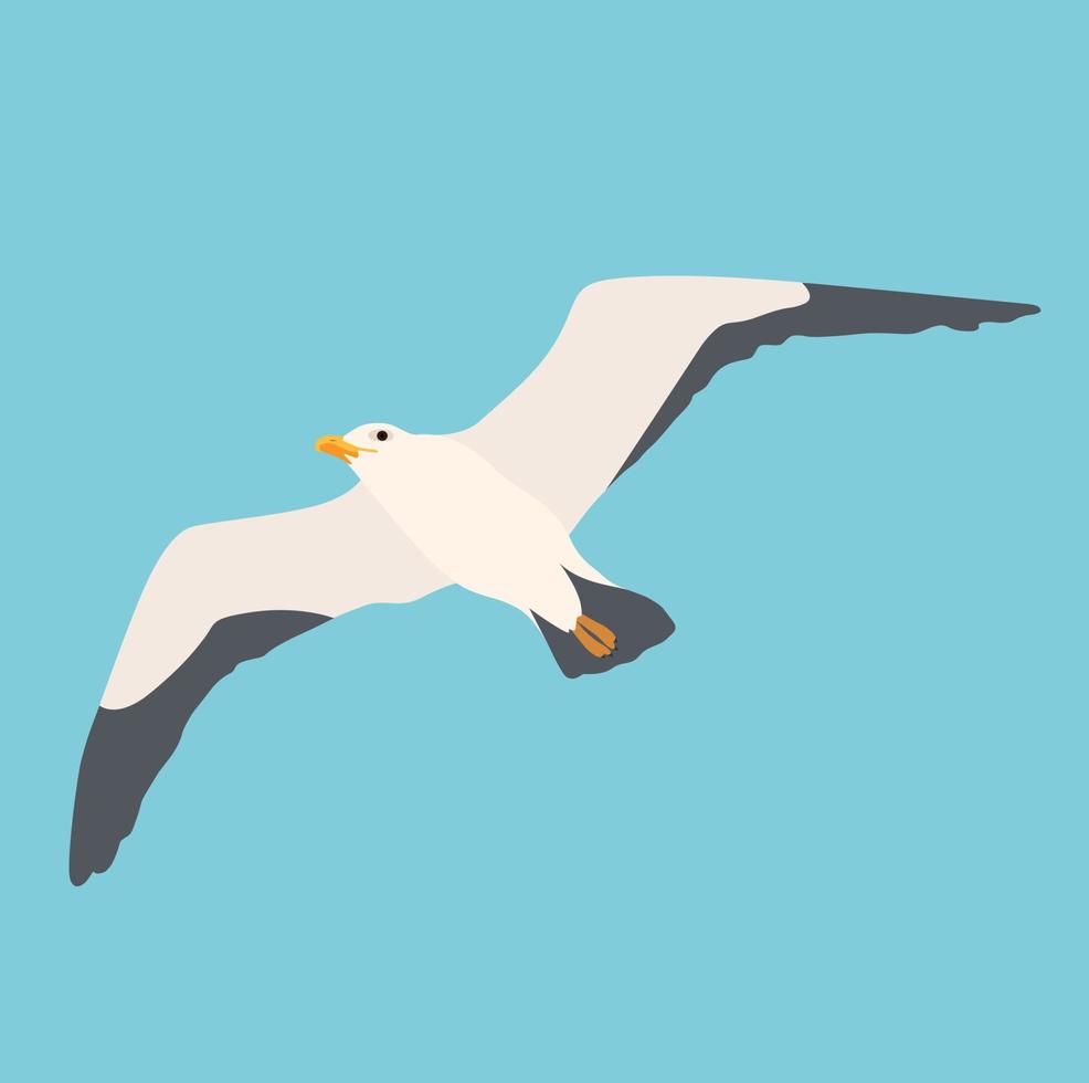 Cartoon atlantic seabird, seagulls flying on isolated white background. Sea, Ocean, Gull, bird in a vector flat style